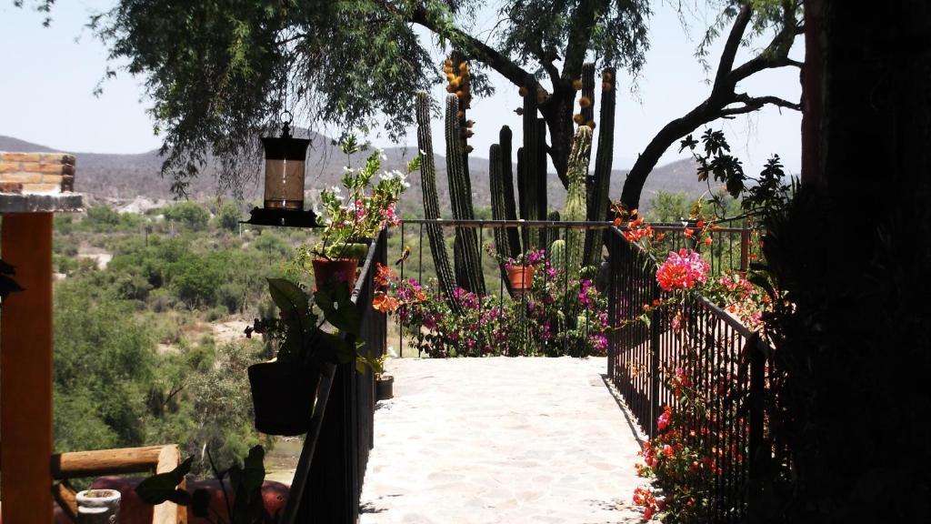 Hotel Rio Vista 엘 푸에르테 외부 사진